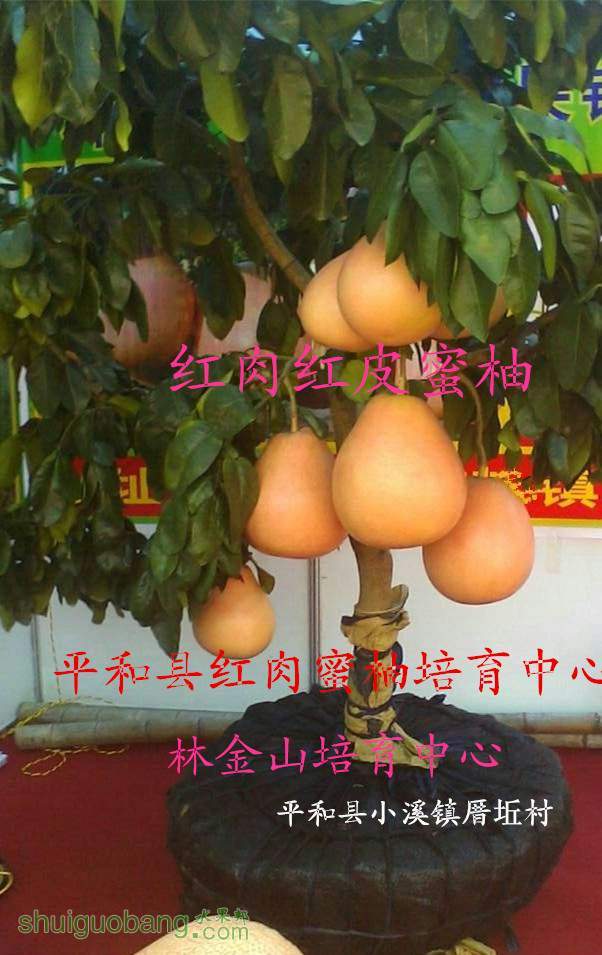 �����Ƥ���ֹ���