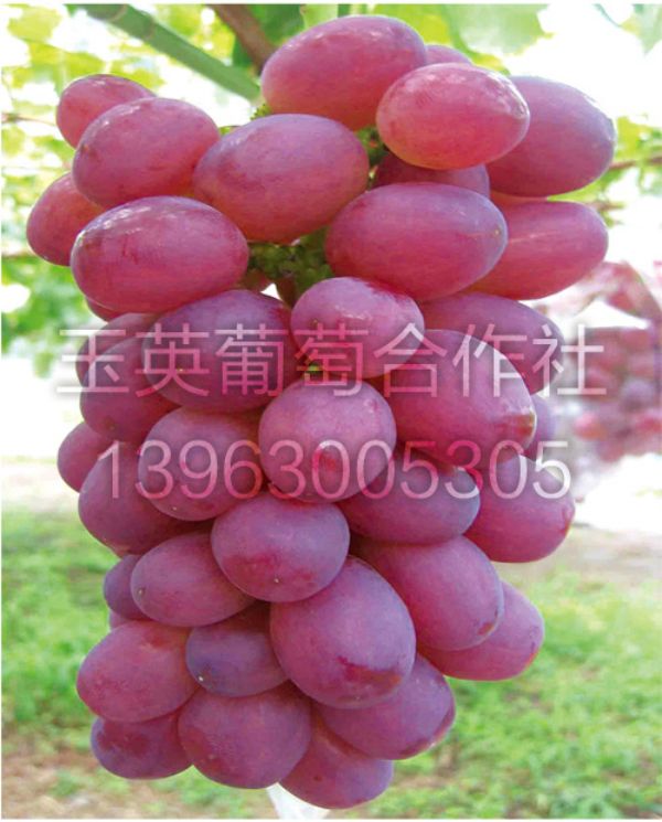 202114ch7u1eze05uh8el3.jpg