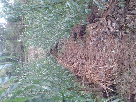 20141017_110127.jpg