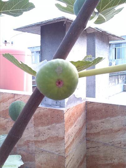 �������򣬸������ˡ�