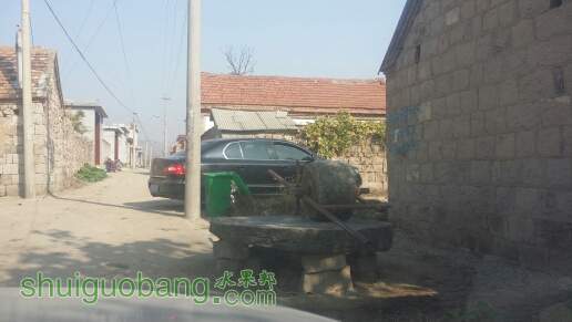 103551hvrpn86kk0koaqzw.jpg