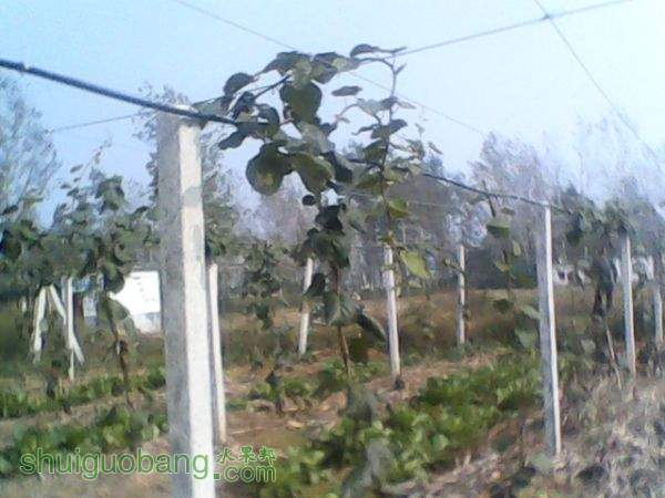 074631uxlgpl65v2s9iwli.jpg