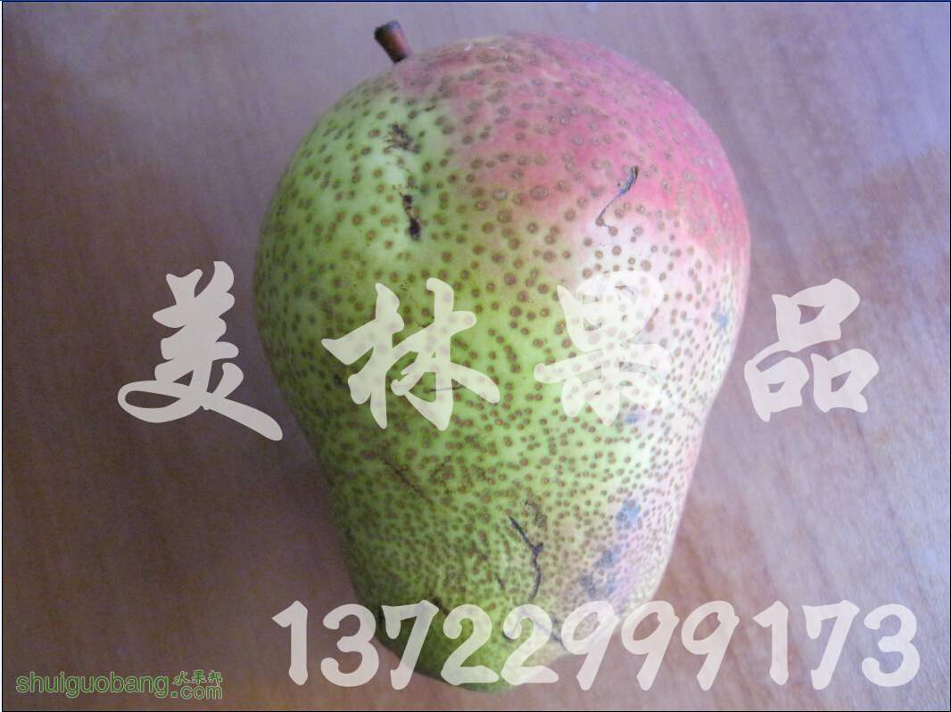 005.jpg