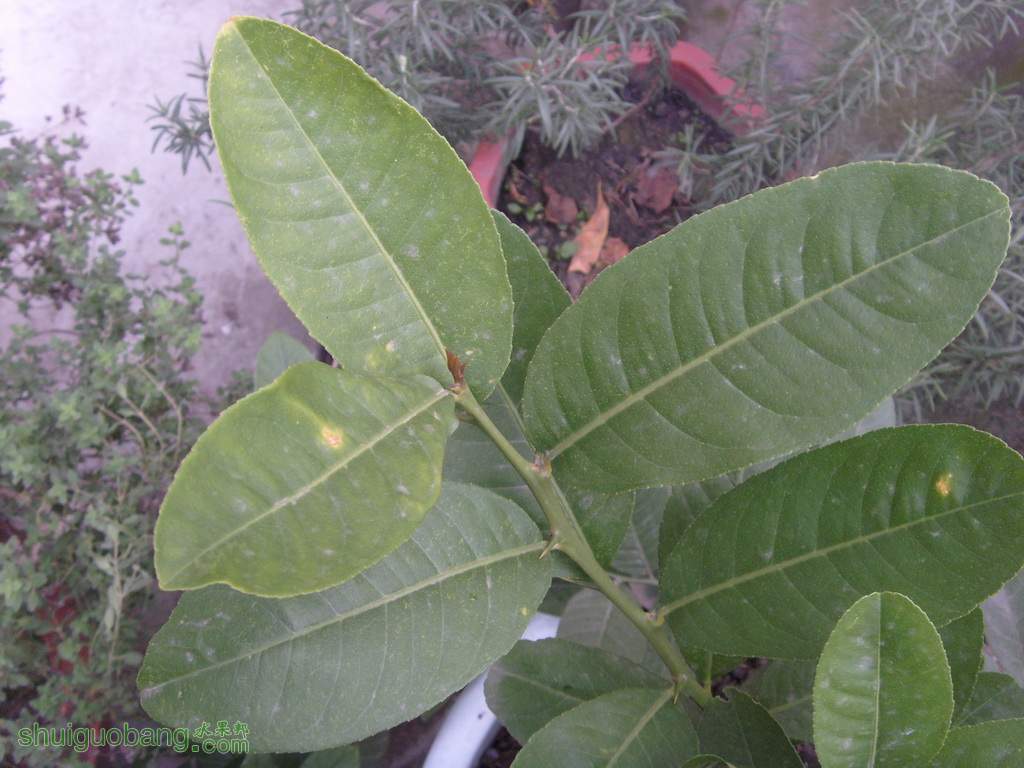 S73R1831.jpg