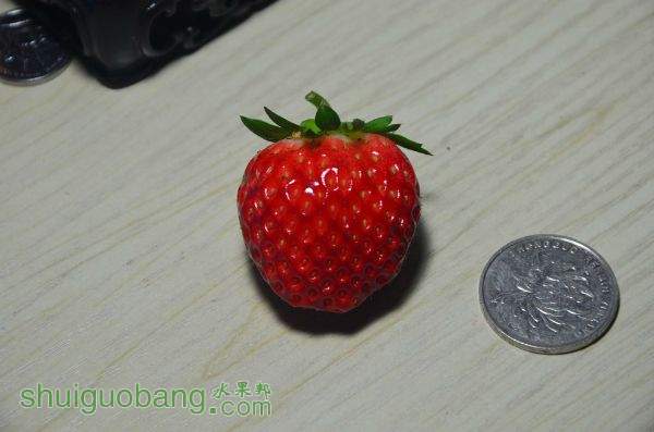 221504eqqhqhkuh74lbjhk.jpg