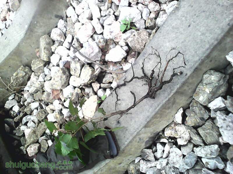 120311gt6awwa8g6g4wg3q.jpg