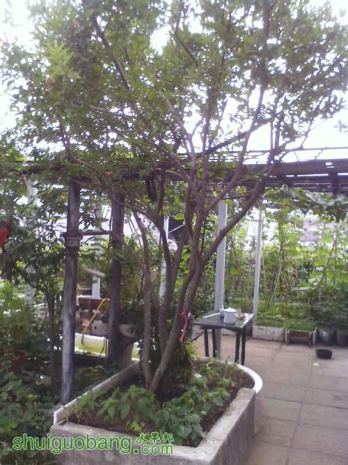 092455uq2v2iqbxjjh9qcb.jpg