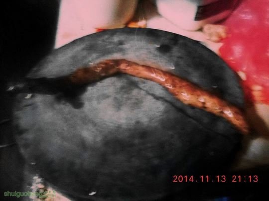 DSCN0517.jpg