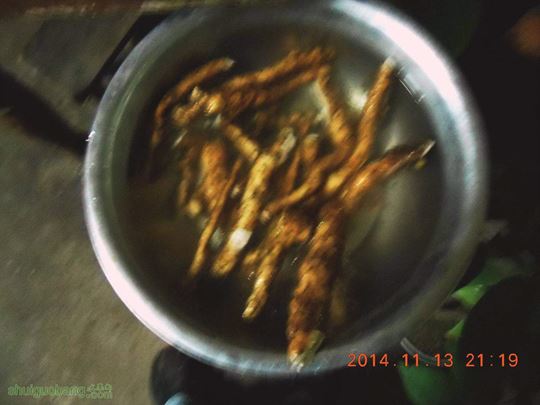 DSCN0520.jpg