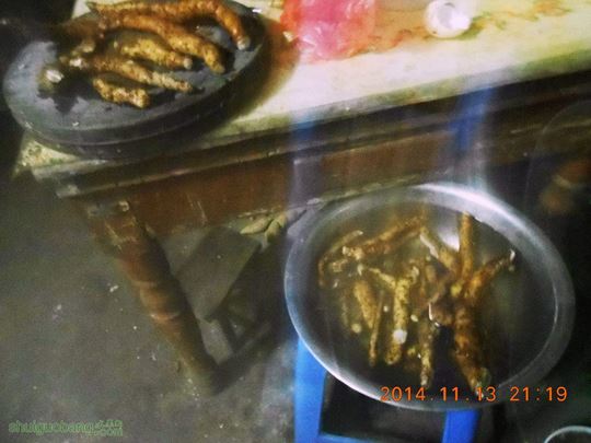 DSCN0521.jpg