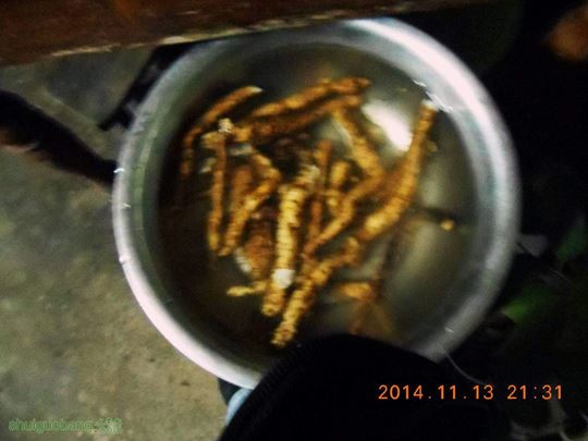 DSCN0522.jpg
