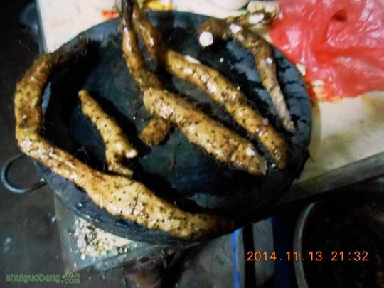 DSCN0523.jpg