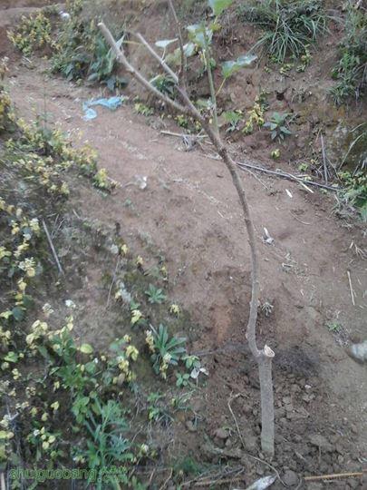 2PU))]%6N~N]2O6%YUKTN4P.jpg