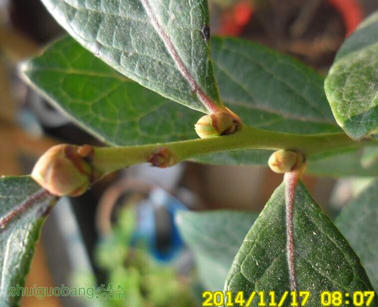ѿ022.jpg