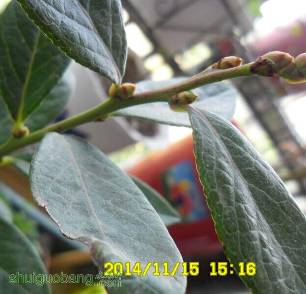 ѿ025.jpg