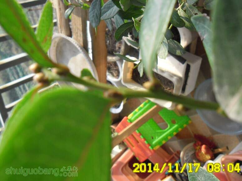 ѿ035.jpg