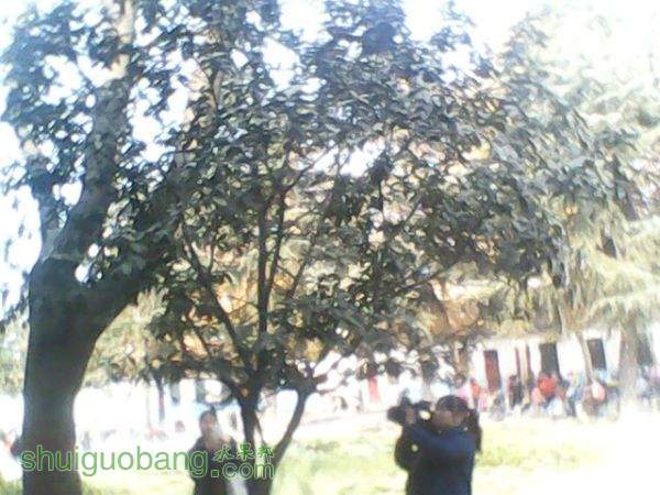 195108gzbbm10mn01qu0bf.jpg