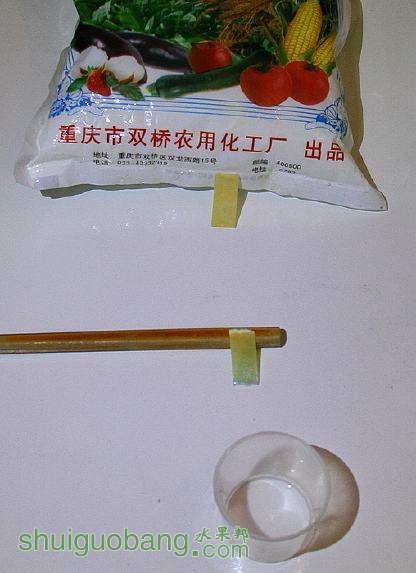 102754n5msetvmgwwlgtv1.jpg