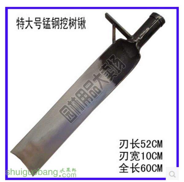 173147iml7w74l427ymb19.jpg