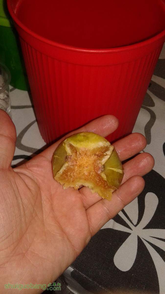 20141122_222351.jpg