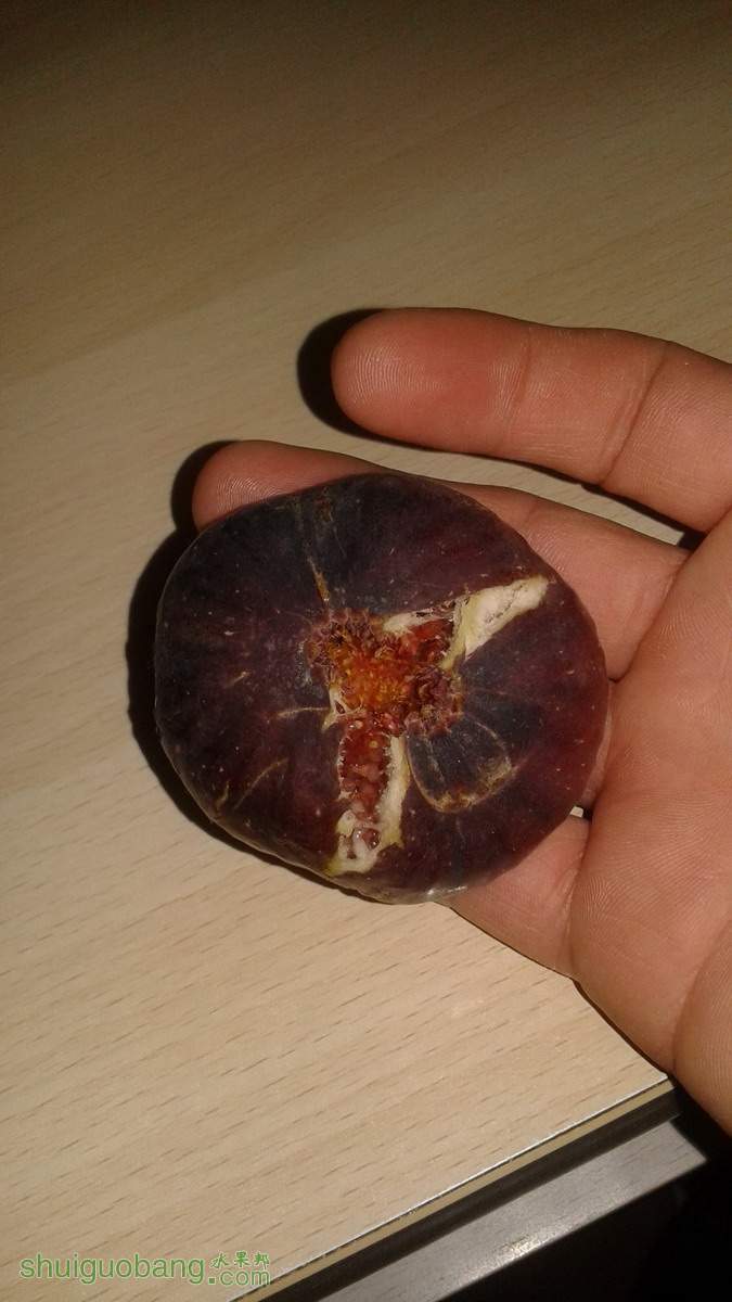 20141122_221708.jpg