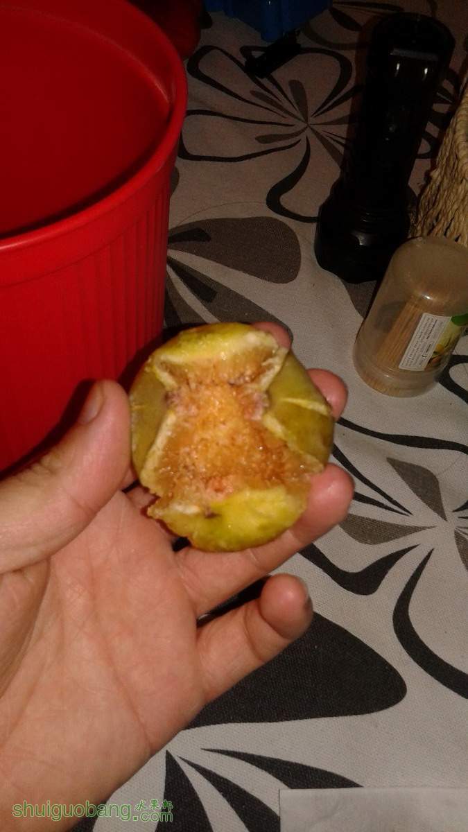20141122_222325.jpg