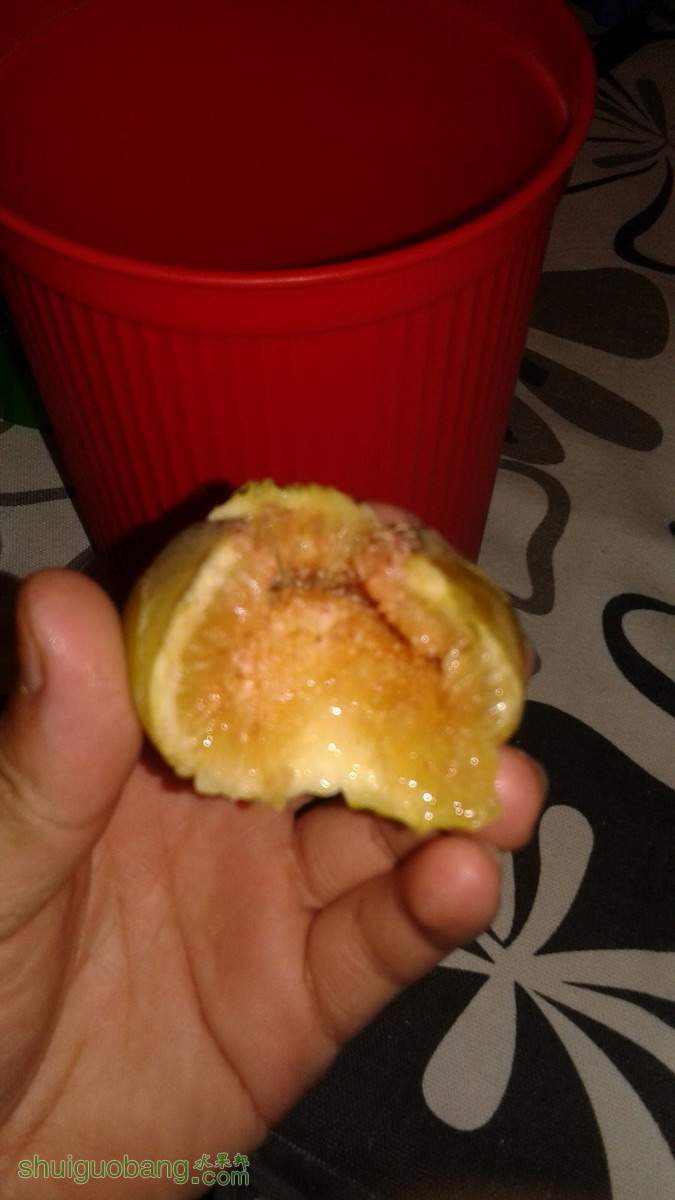 20141122_222344.jpg