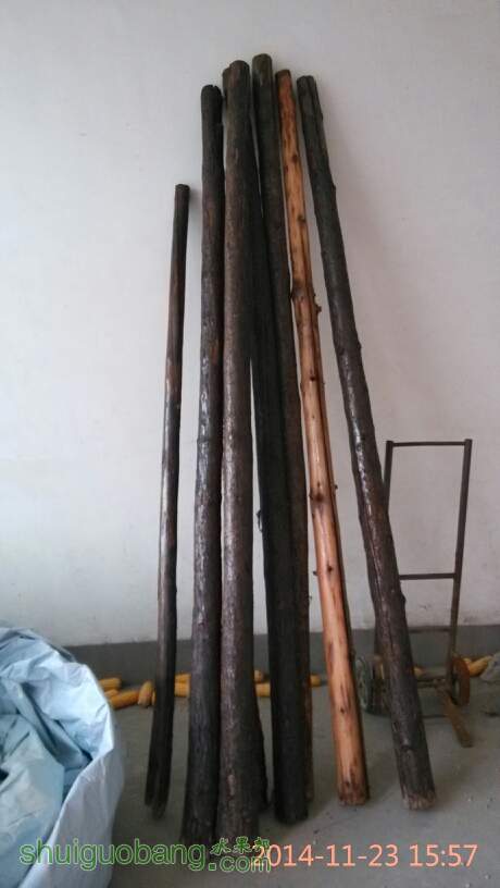 163056nu38iin8fkohjlkr.jpg