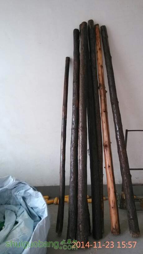 163058l7man17nm1j6mrjb.jpg