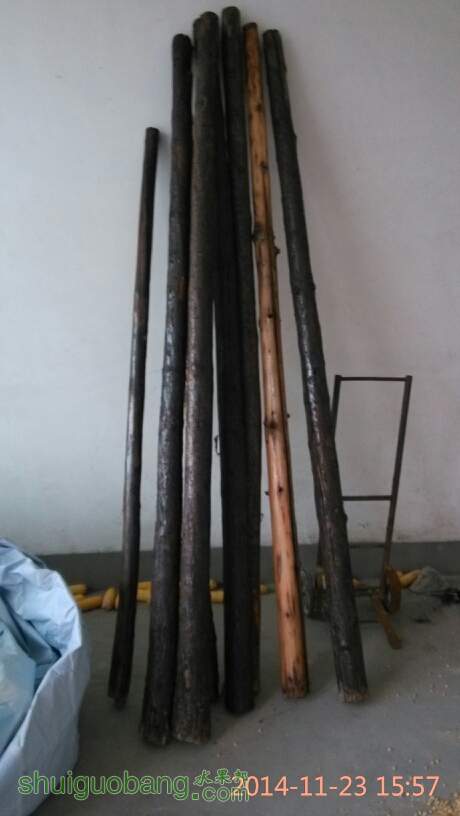 163059dbx67464myh7xb7m.jpg