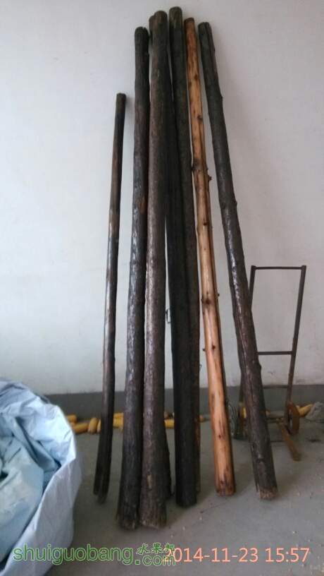 163101oaq6rsthv8uztvwj.jpg
