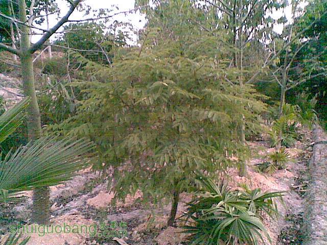 20141118(001).jpg