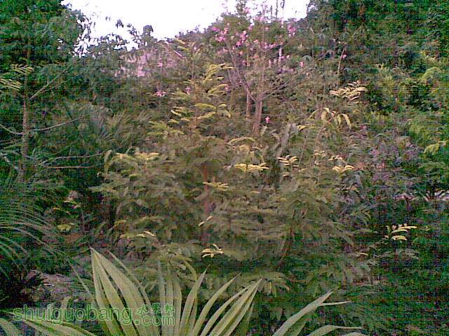20141118(008).jpg