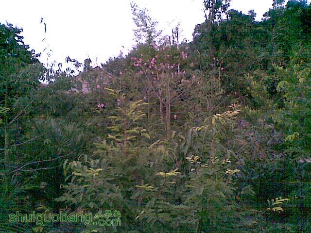 20141118(009).jpg