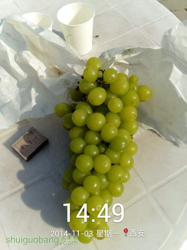 211024wdttb8b4gqugvjzv.jpg