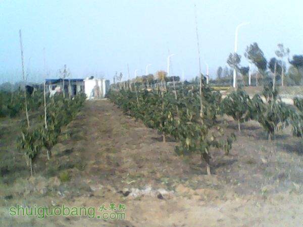 120736fldfduinvfqndx7d.jpg
