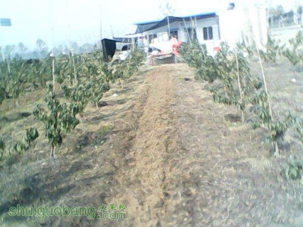120737n0nk77dd827629ds.jpg
