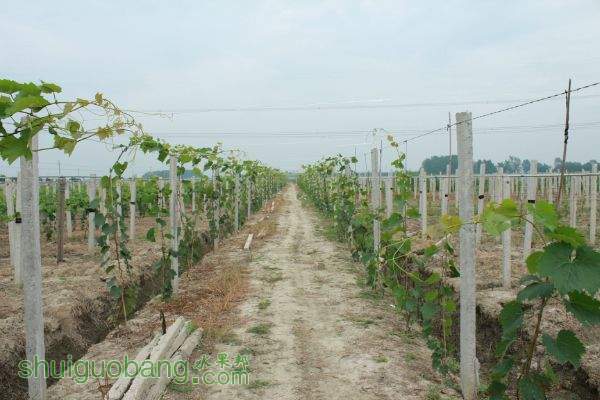 145101m99mww9gmtc14wjc.jpg