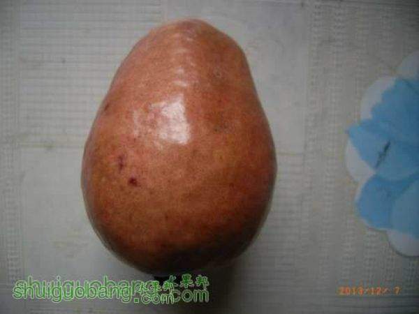 163204mbr6cbmbeub7uerc.jpg