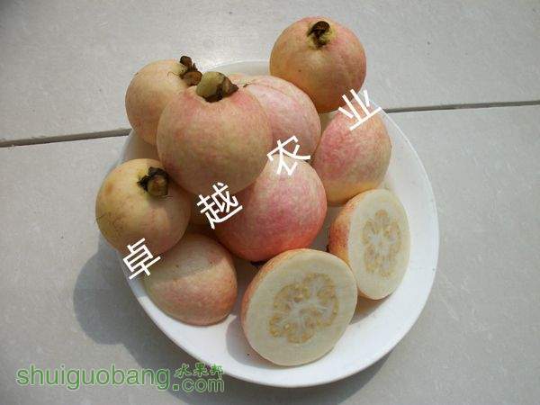 163207bbeq5urmprqrlmh9.jpg