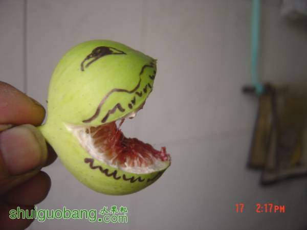 204344azgrxo1wnwrrflz1.jpg