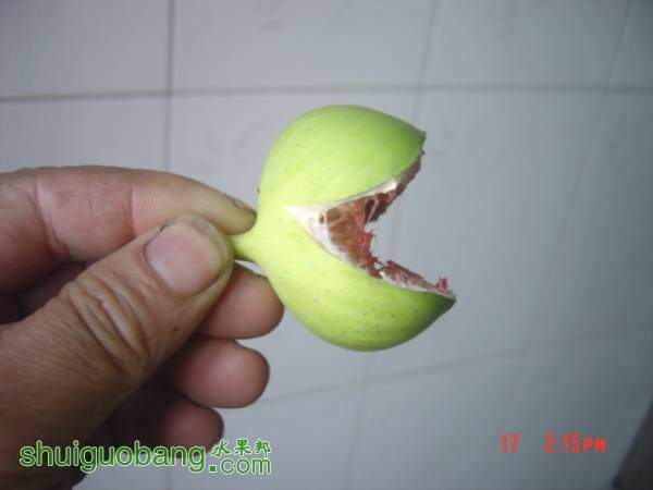 204346esb6wiq20miqiu0m.jpg
