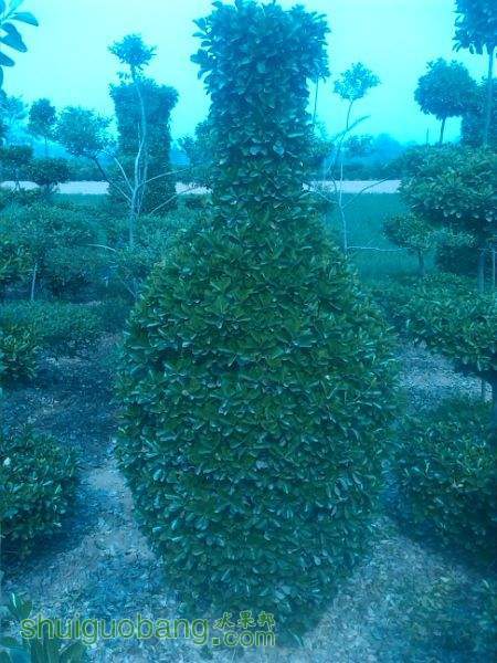 210508grra06x0jll76pmr.jpg