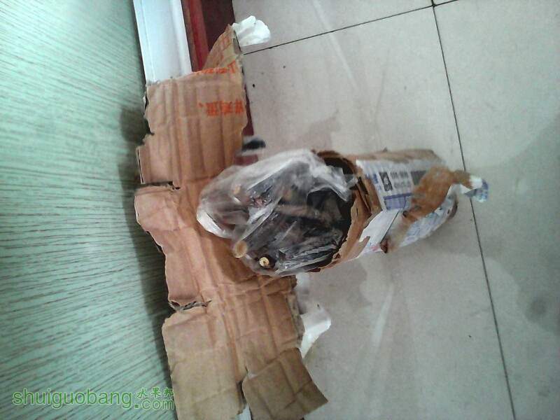 121152dk01660xg6h9c6z1.jpg