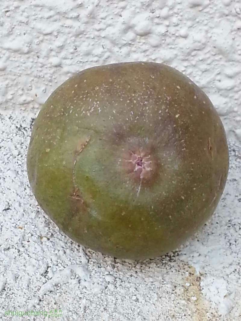 1049710369.jpg