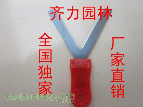 T1XJhmXwNdXXXXXXXX_!!0-item_pic��ѿ��.jpg