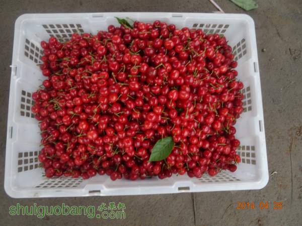 090138uiaiz2agfiig5mtd.jpg