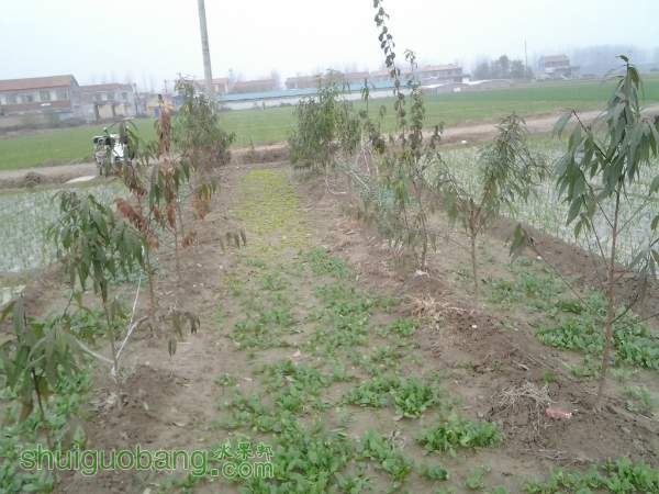 102924zxju6buxk8nvb8jb.jpg