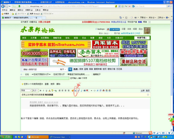 153950tx1b6xkrrr1rv4rn.jpg