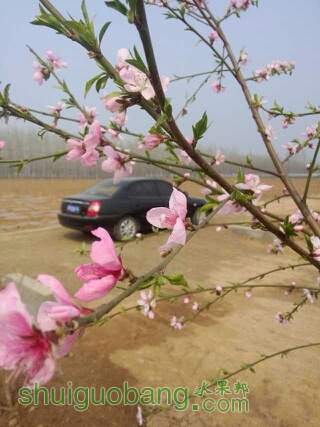030514v28l8wvtzff9f8jv.jpg